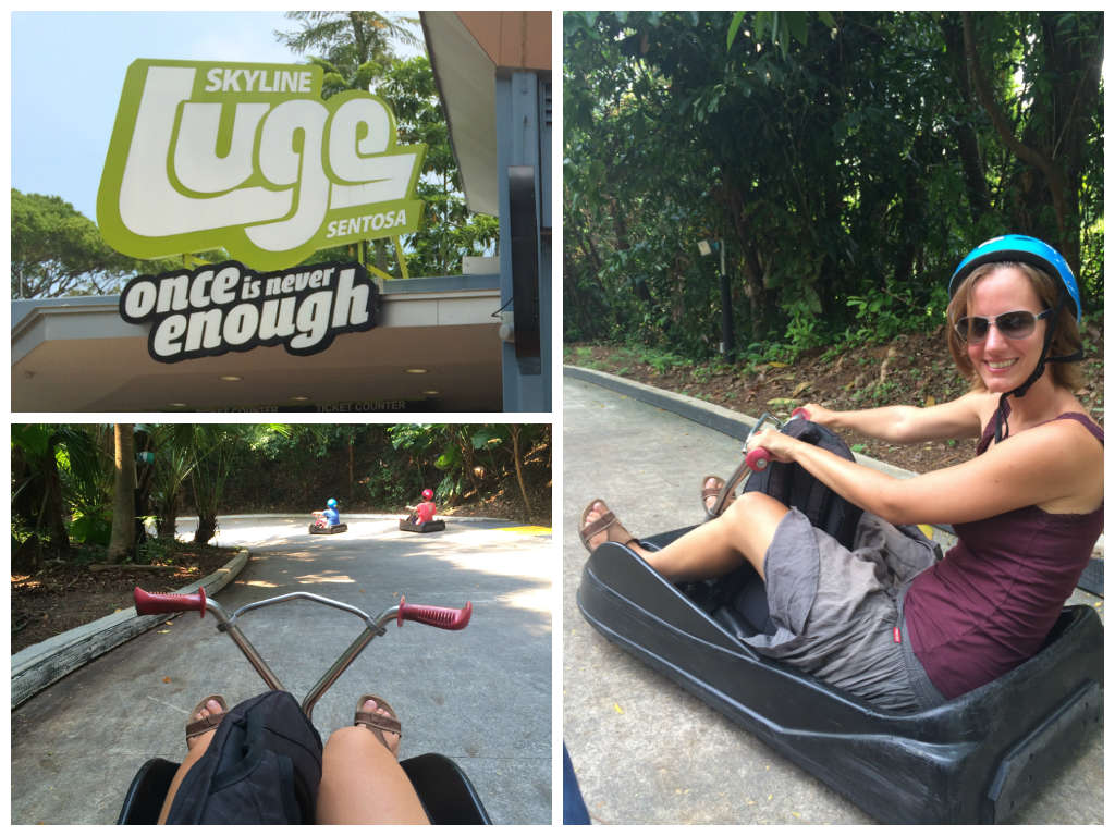 skyline-luge